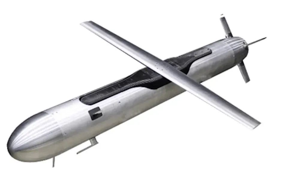 美国黑箭廉价巡航导弹 完成制导飞行测试