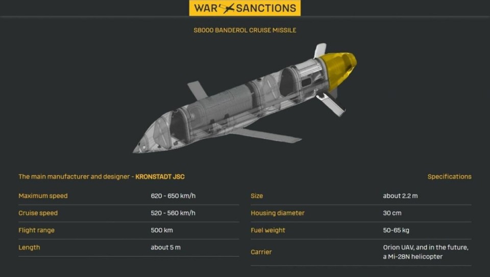俄新型S8000巡航导弹 配备中国涡喷发动机